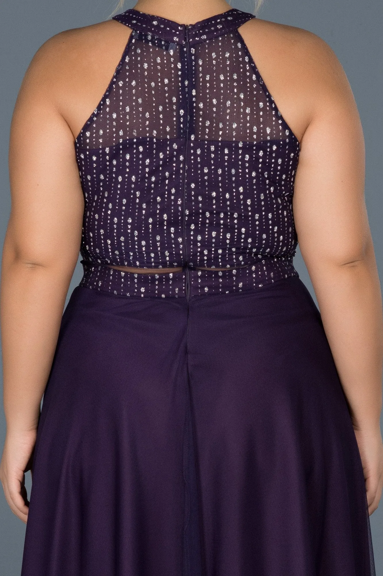 15677 Purple Shimmer Transparent Tulle Dress